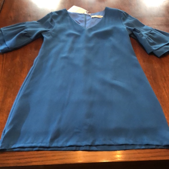 NWT Blue Ruffle sleeve Dress - Picture 4 of 14
